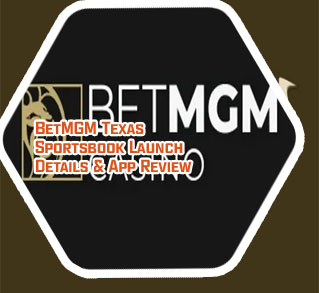 Betmgm casino app