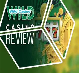 Wild online casino